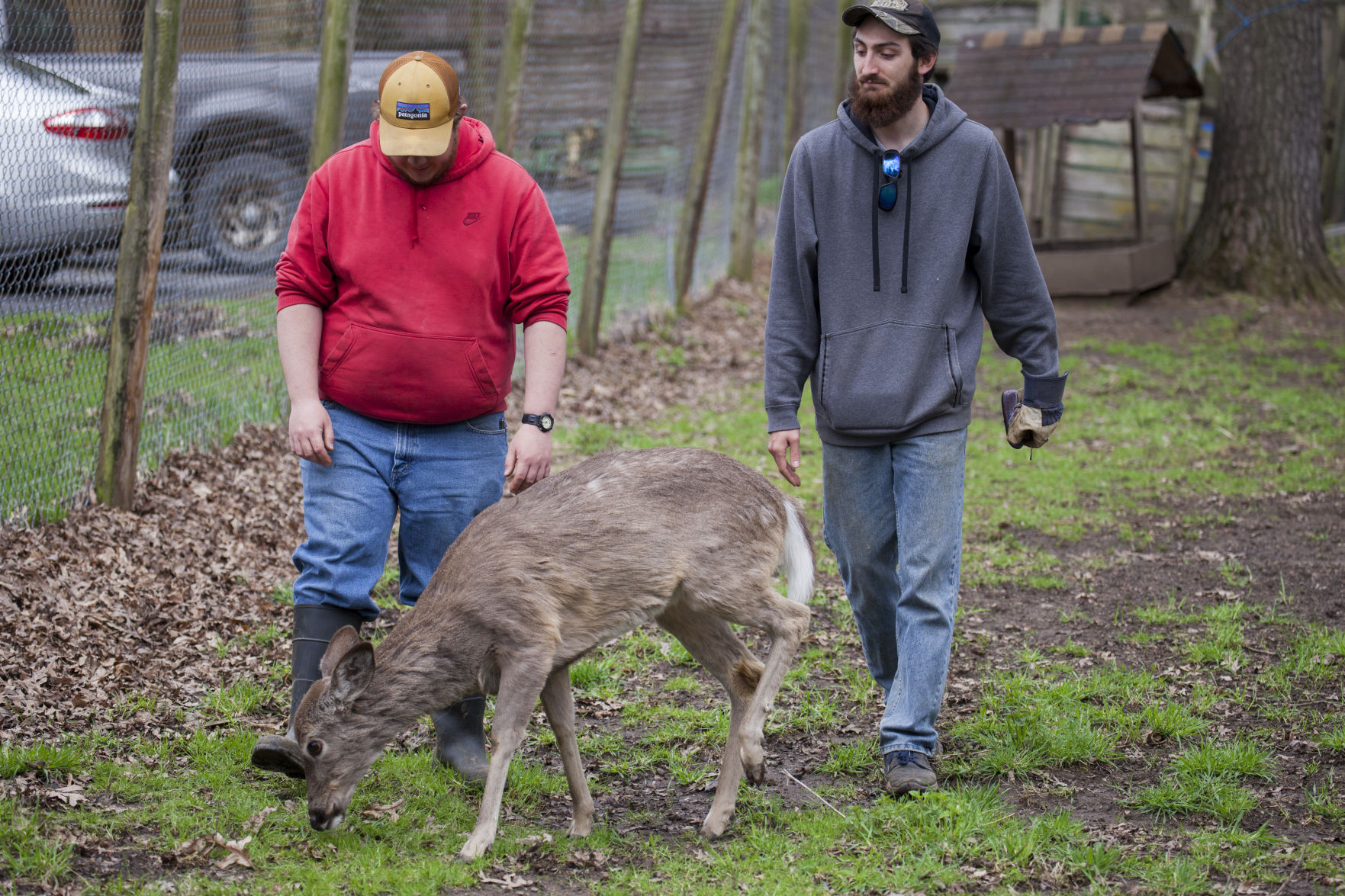 Deer Research Center